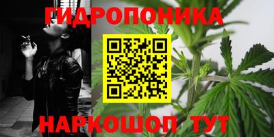 мяу мяу мука Бугуруслан