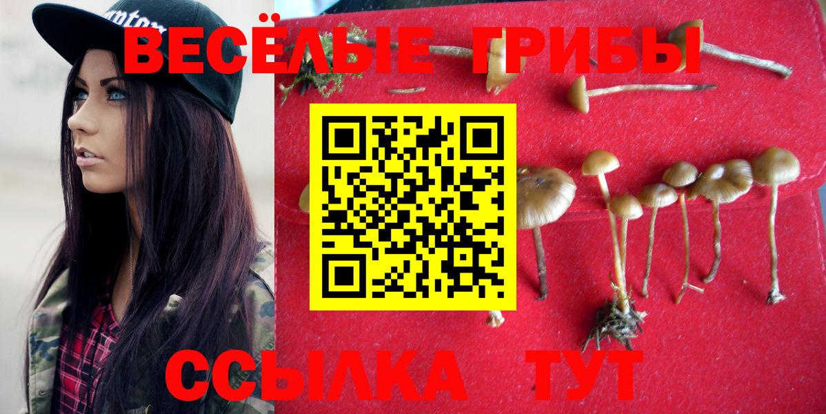 Галлюциногенные грибы MAGIC MUSHROOMS  Галлюциногенные грибы мицелий  Вход с VPN  Торжок 